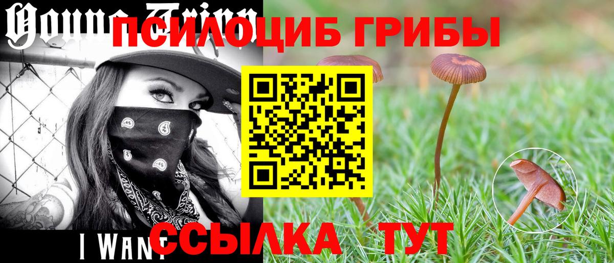 Галлюциногенные грибы Magic Shrooms  что такое   Ишимбай  Вход с VPN 